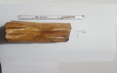 KAYU TERRESTRIAL UK M C 58 - C 63 ORNAMENTAL UNTUK PEMELIHARAAN TARANTULA, REPTIL, SERANGGA, DLL